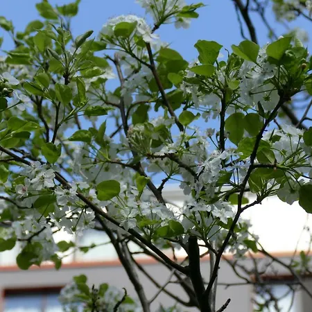 Boutique I31 Mitte Hotell 4*