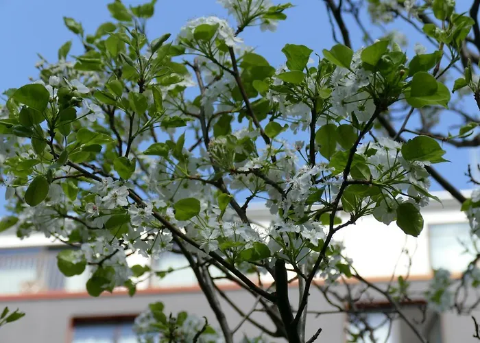 Boutique I31 Mitte Hotel 4*